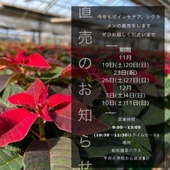 クリスマスのプレゼントにどうですか？