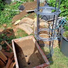 植木、鉢の画像