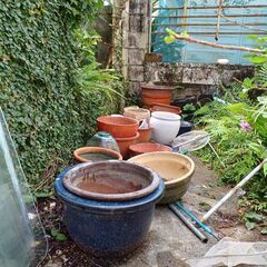 植木、鉢の画像