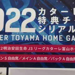 カターレ富山　2022チケットの画像