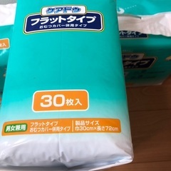 大人用　フラットタイプオムツ　3個の画像