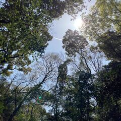 アニオタのスピ友を募集しています(>_<) - 名古屋市