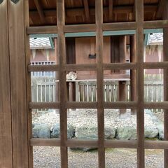 アニオタのスピ友を募集しています(>_<) − 愛知県