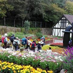 11/20日 神戸の紅葉を歩こう🍁 - スポーツ