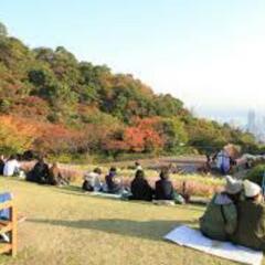 11/20日 神戸の紅葉を歩こう🍁 - メンバー募集