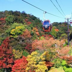 11/20日 神戸の紅葉を歩こう🍁 - 神戸市