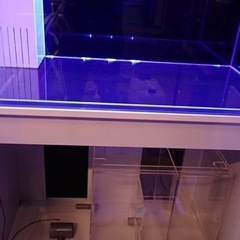 年末年始セール☆コトブキ☆レグラス900オーバーフロー水槽。使用2ヶ月の画像