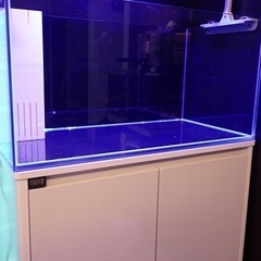 年末年始セール☆コトブキ☆レグラス900オーバーフロー水槽。使用2ヶ月の画像
