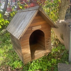 犬小屋