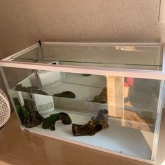 水槽セットの画像