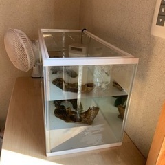 水槽セット