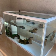 水槽セットの画像
