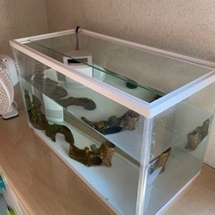 水槽セットの画像