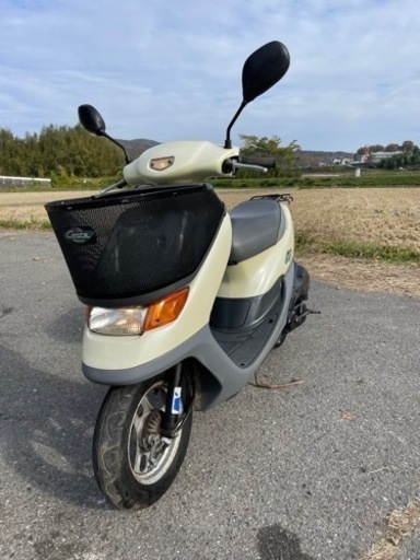 DIO CESTA 2スト 格安