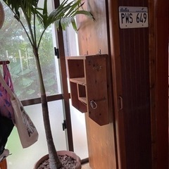 ロッカー(木製) の画像