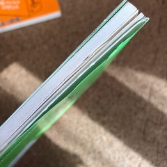 自殺うさぎの本　2冊セットの画像