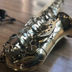 【ハードケース付】kaerntner ケルトナー アルトサックス ハードケース付】kaerntner ケルトナー アルトサックス ハードケース付