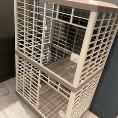 キャットゲージの画像
