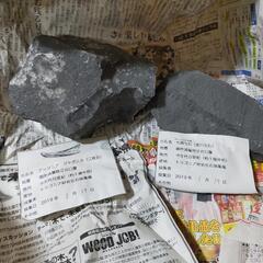 中生代の化石2つセット(二枚貝、生痕化石)