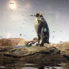 😚3/4迄の期間限定仕事を1日からでもやってみませんか❓日払い可...