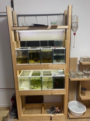 水槽8個、水槽棚セット