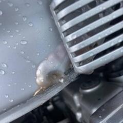 スズキ GSX250S カタナの画像