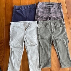 レディース ニット パンツの画像