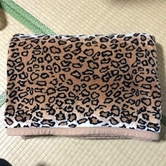 【毛布①】無料でお譲りします