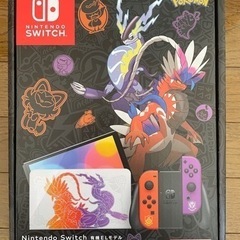 明日21日限定Nintendo Switch