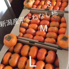 新潟産平種無し柿  脱渋済  箱買い