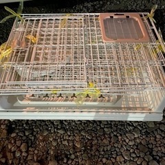 【美品】猫用サークル
