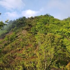 11/26(土) 鈴鹿🍁銚子ヶ口🍁