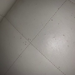 レザー生地 ソファー の画像