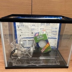 決まりました。水槽