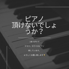 ピアノを譲って下さい。お願い致します。