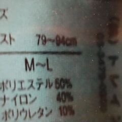 新品未使用　ヒョウ柄　インナーウエア　2枚セット　M～Lサイズの画像