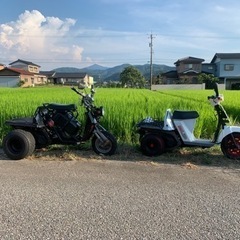 大幅値下げ　カスタムジャイロUP 2台セット　バラ売可の画像