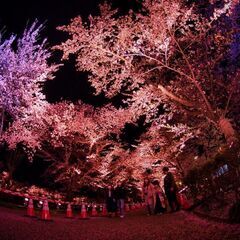 📸カメラサークルメンバーを募集しています！成人以上でお願いします。 − 群馬県