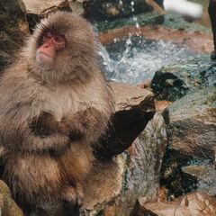📸カメラサークルメンバーを募集しています！成人以上でお願いします。 - メンバー募集