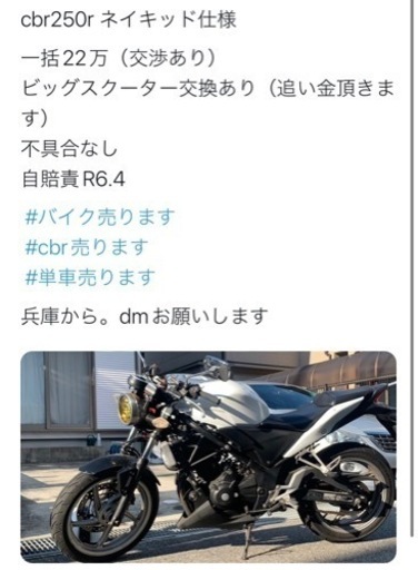 CBR250R ネイキッド仕様 【早期取引できる方お値引します】