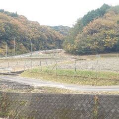 【❗運搬無料❗】『農業資材』もみがら　★☆大量に差し上げます。の画像