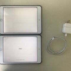 ipad mini2