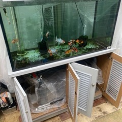 120・60・60水槽セット