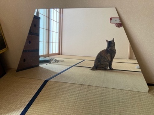 鏡　大きい