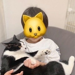 ⭐︎急募⭐︎成猫1歳半　オス里親募集 − 東京都