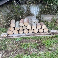 千葉県の玉切りの中古が安い！激安で譲ります・無料であげます
