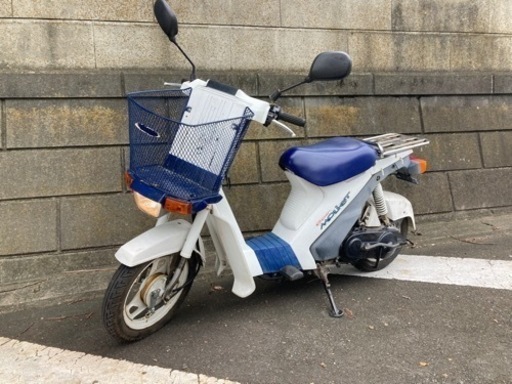 スズキ　モレット！