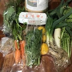 季節野菜