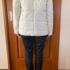 レディースブルゾンの画像