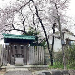 エネルギーワークを教えてくれるマスターを探しています(>_<)